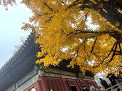 -红螺寺