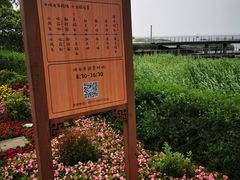 -苏州太湖国际会议中心