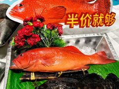 -南海渔村·空中一号