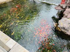 -水磨沟公园