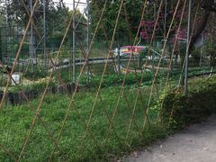 -广东花都香草世界旅游度假区
