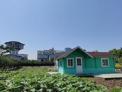 -百万葵园