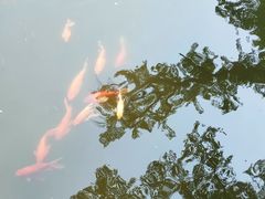 -西园寺
