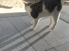 -厦门国家会计学院