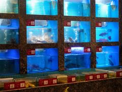 -潮州府·潮菜·砂锅粥(徐家汇店)