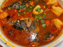 -朝馆·市井本味菜