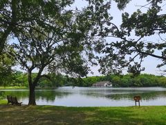 -上海共青森林公园