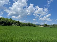 -良渚古城遗址公园