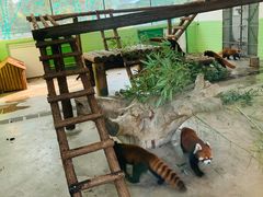 -石家庄市动物园