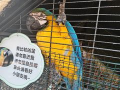 -西双版纳融创皇冠假日度假酒店