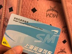 -龙阳路磁悬浮列车总站-停车场