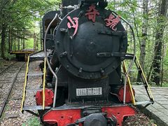 -五营红松林海景区