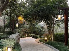 -天目湖涵田半山温泉