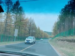 -塞罕坝国家级自然保护区