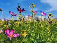 -长安大学(北校区)