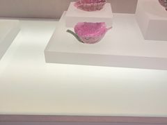 -辽宁省博物馆