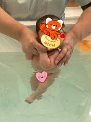 -安雅国际月子会所(拱北森宇富通店)