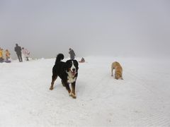 -太子岭滑雪场