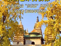 -北京石刻艺术博物馆