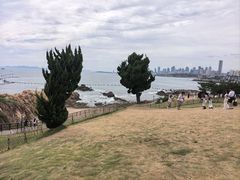 -小麦岛公园