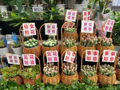 -合肥蜀山万象汇