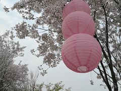 -品渔味湖鲜馆(拈花湾店)