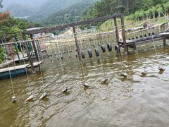-牛鱼嘴原始生态风景区