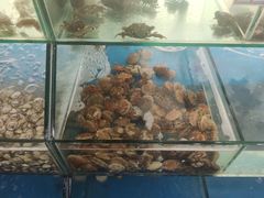 水产区-雅逸居海鲜小厨