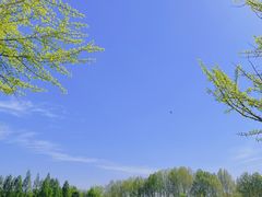 -石家庄市植物园