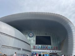 -烟台海昌鲸鲨海洋公园