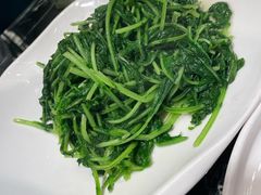 清炒鸡毛菜-喜棠·长沙家宴·海鲜·湘菜(麓谷店)