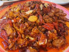 -柴窝堡22号辣子鸡·传承新疆菜