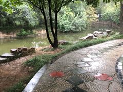 -西苑公园