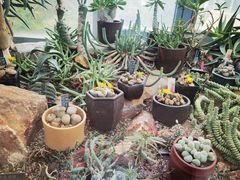 -国家植物园南园