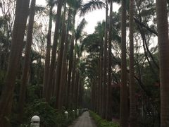 -燕晗山郊野公园