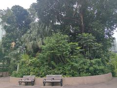 -九龙公园