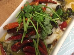 -一笼小幸运