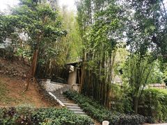 -七仙岭温泉国家森林公园
