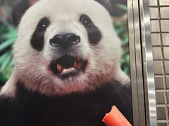 -动物园(地铁站)