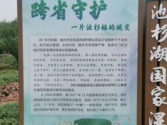 -池杉湖湿地公园