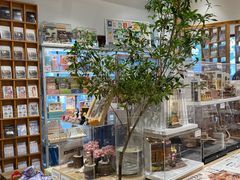 -猫的天空之城概念书店(苏州平江店)
