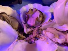 -千岛蚝高压锅生蚝·人参火锅(白云万达店)