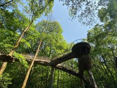 -石燕湖生态旅游景区