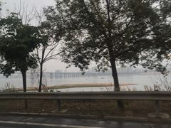 -悦城龙母祖庙