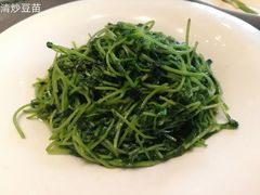 清炒豆苗-海景壹号大酒店(惠钱路店)