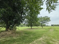 -盘龙城国家考古遗址公园