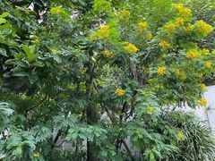 -广州逸林假日酒店·四季桃源中餐厅(白云山风景区店)