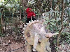 -呀路古热带植物园