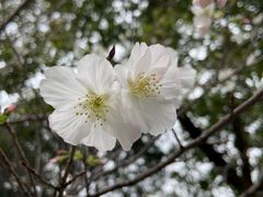 -乌山风景区