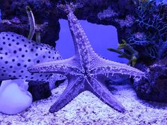 -上海海昌海洋公园